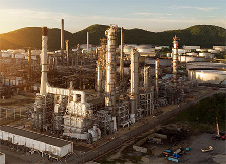 Alianza Metalica