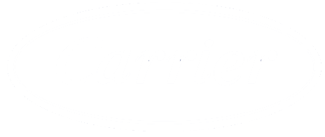 Company name