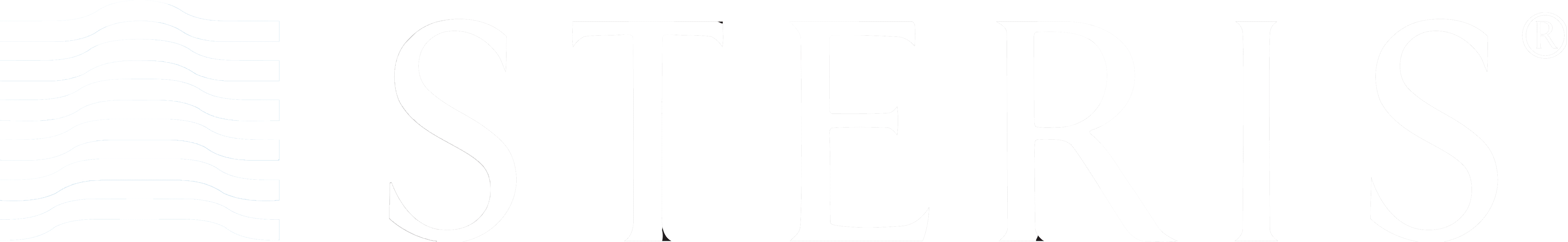 Company name